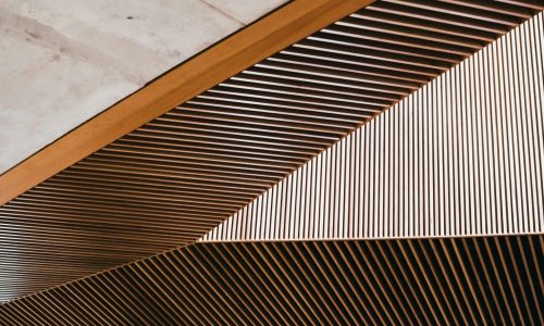 dylan-ferreira-sg3QrWSHw2s-unsplash dylan-ferreira-sg3QrWSHw2s-unsplash